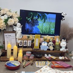 宠物家长客户见证