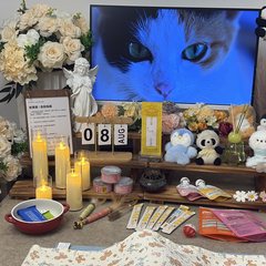 宠物家长客户见证